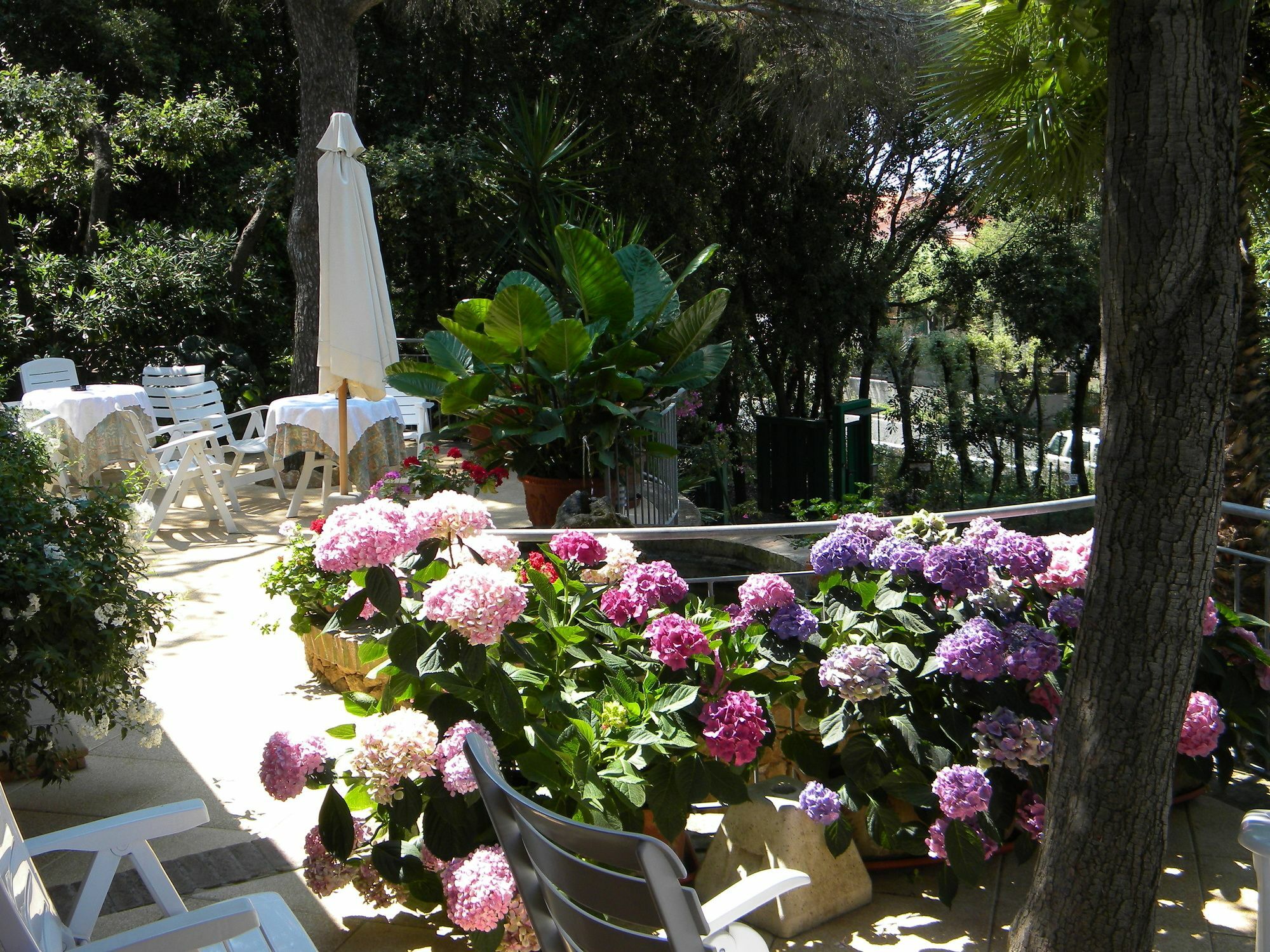 Hotel La Rosa Del Tirreno Ливорно Экстерьер фото